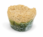Botani Glow Natural Loofah Soap